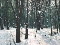 소년을 만났다.