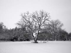 흰국화 꽃다발을 들고 온 학생