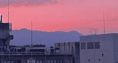 어린 양과 하늘의 화상