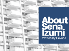 세나 이즈미에 대하여