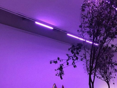 거기까지 제 목소리가 닿게 된다면