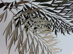 [석영무택] 우리 개