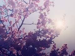 終天之慕 ( 종천지모 )