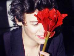 Harry Styles with a flower