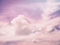 멤버십 관련 공지입니다