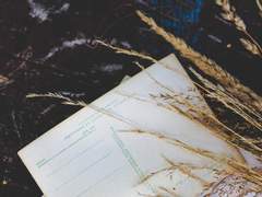 [윤해진] 묘혈에 누운 꽃