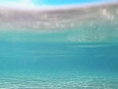 애인의 애인에게 F