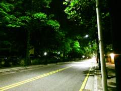 [판운] 나와 너와 16의 관계 -上-