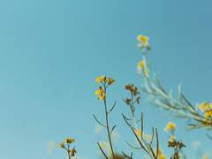 [리암노엘] 00:00:00