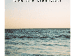 [민톰] King and Lionheart