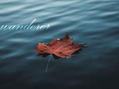 [토도이즈] wanderer