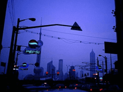 이게 저희의 의무입니다