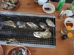 타카스기 마히로 高杉真宙 블로그 번역 ㊱ 111229