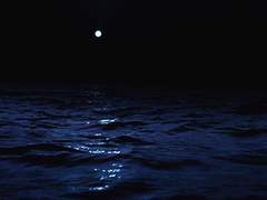 애인의 애인에게 G