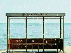 울새의 둥지 특별편 1