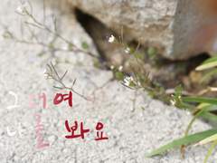 [히로아카]그대여 나를 봐요