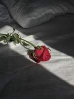 온리전 미리보기