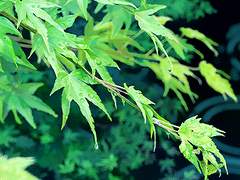 낙원을 찾고 있나요?