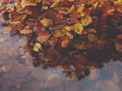 애인의 애인에게 I