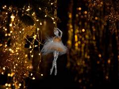 [민호뉴트] 바보와 멍청이의 무도회