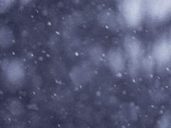 [치트퍼블] 상냥한 미로를 헤매는 법 외전?