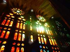 데미알리, [가장 달콤한 졸음을.] 유료판매