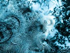 A Strange Tale (中): Circle of the Children (サークル・オブ・ザ・チルドレン)