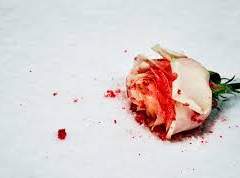 [알렉스토미] 까마귀