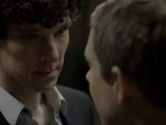 개를 위한 마카롱