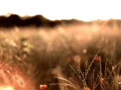 [이와히나] With You, Darling