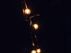 당신의 사려 깊은 이웃 2/2