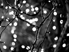 그냥 찌질이 치트퍼블 보고싶었던 쪼각글