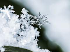 [찬백] 12월의 기적 10