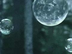 애인의 애인에게 L