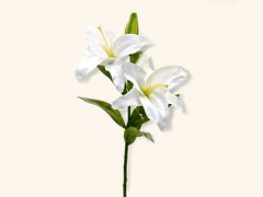 천자만홍 (千紫萬紅) 1