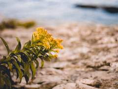 상사여귀 相思厲鬼 -11