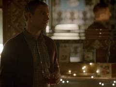 개를 위한 고양이