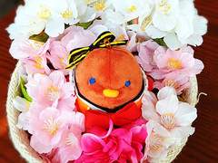 츙코레 리폼 커미션 신청 유의사항