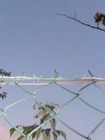 Desperatio (윤기정)