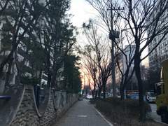 18년 3월 14일과 15일