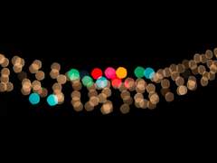 [해리피터] Happy Day