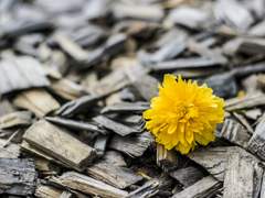 [백민] 알고 보면 사랑스러운 ep. 3