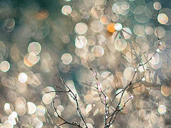 [이즈마코]극단의 인력 08