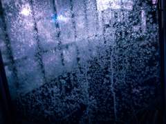 [동원/동운] Prisoner 中