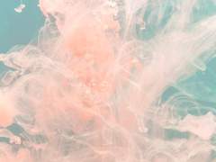 [찬백] 안티로맨틱 中