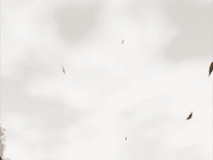 어딘가의 이야기 12.