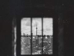 스팁버키: All was calm that night