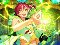 사카사키 나츠메 생일 기사 번역