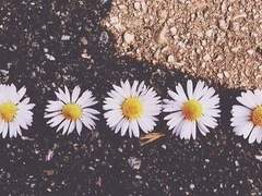 레이코가 - 도련님과 집사씨