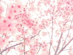 [투진] 짝사랑 기본서